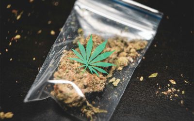 Cannabis Branding and Packaging Design: Elevating Your Brand in a Competitive Market