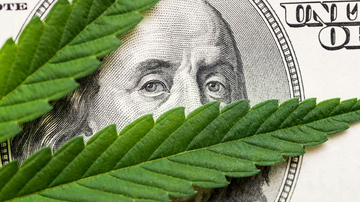 cannabis-competitive-positioning