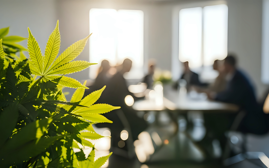 The Professionalization Playbook: Attracting Institutional Investment Through Design