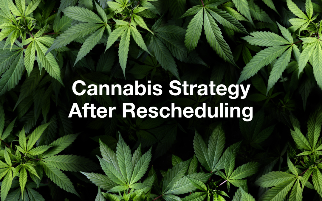 From Survival Mode to Brand Building: Cannabis Strategy After Rescheduling